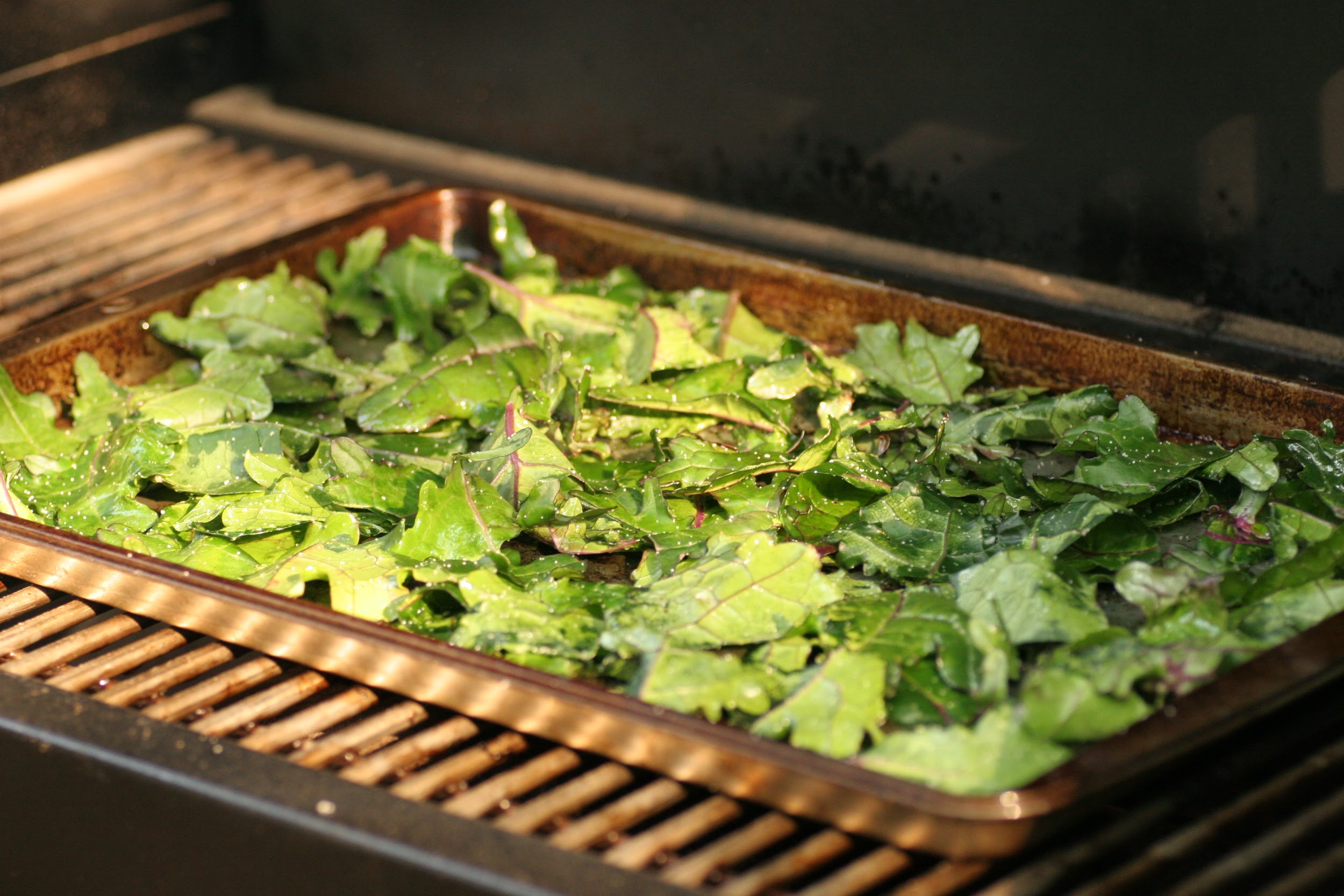 Kale Chips On The BBQ